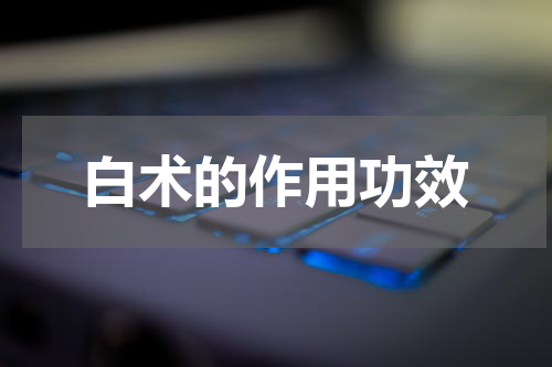 白术的作用功效
