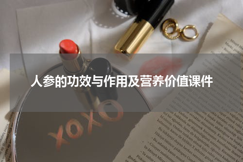 人参的功效与作用及营养价值课件