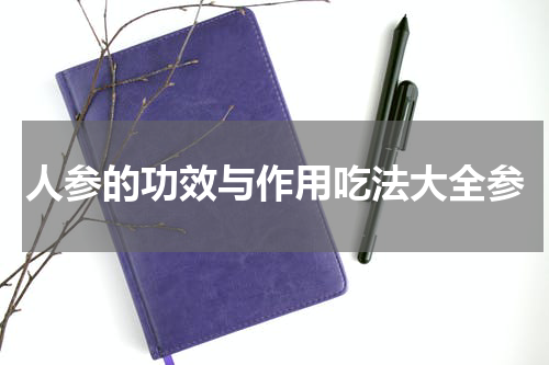 人参的功效与作用吃法大全参