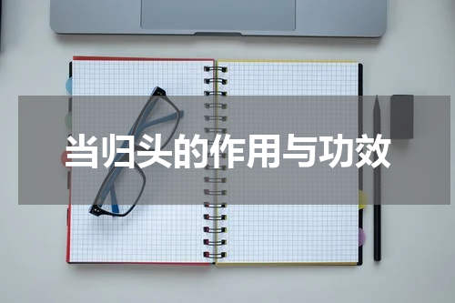 当归头的作用与功效