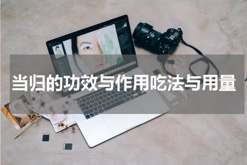 当归的功效与作用吃法与用量