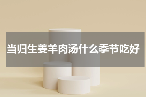 当归生姜羊肉汤什么季节吃好