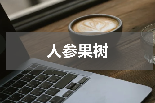 人参果树
