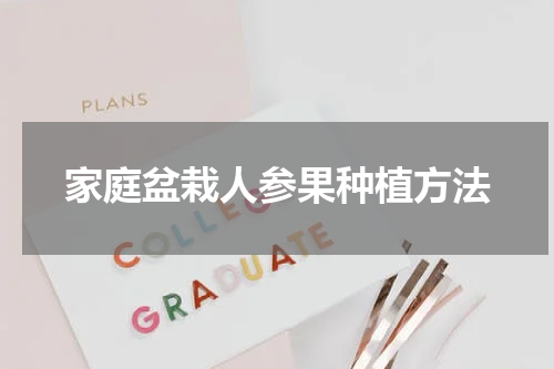 家庭盆栽人参果种植方法