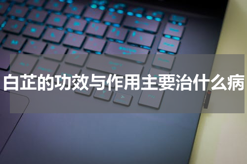 白芷的功效与作用主要治什么病