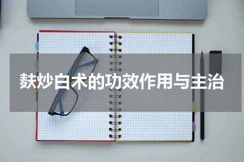 麸炒白术的功效作用与主治