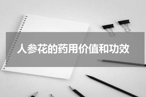 人参花的药用价值和功效