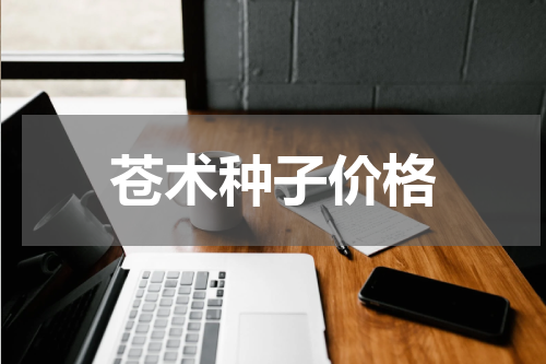 苍术种子价格