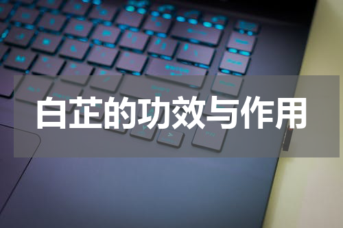白芷的功效与作用