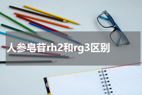 人参皂苷rh2和rg3区别
