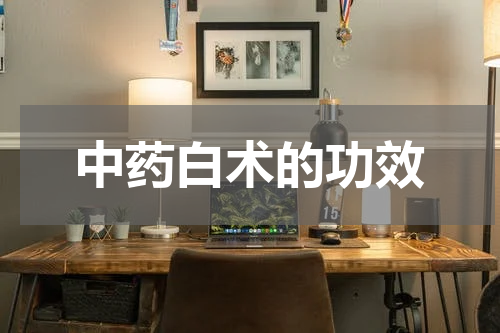 中药白术的功效