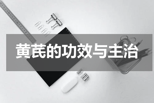 黄芪的功效与主治