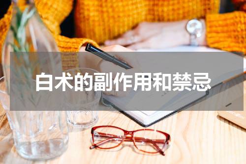 白术的副作用和禁忌