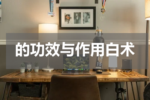 的功效与作用白术