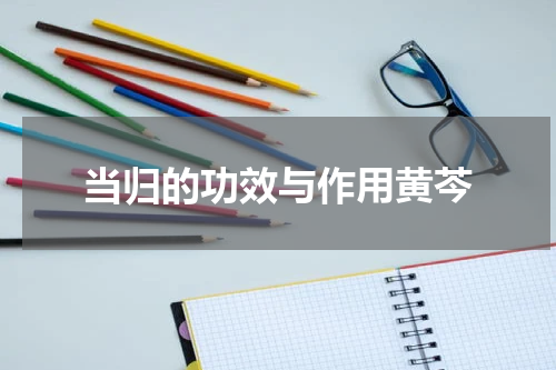 当归的功效与作用黄芩