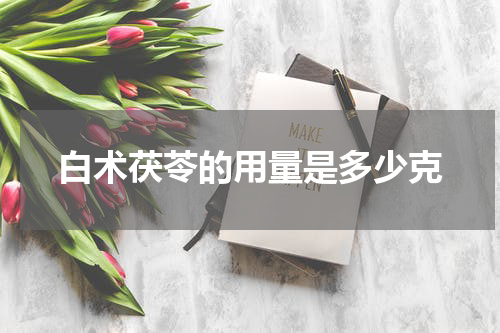 白术茯苓的用量是多少克