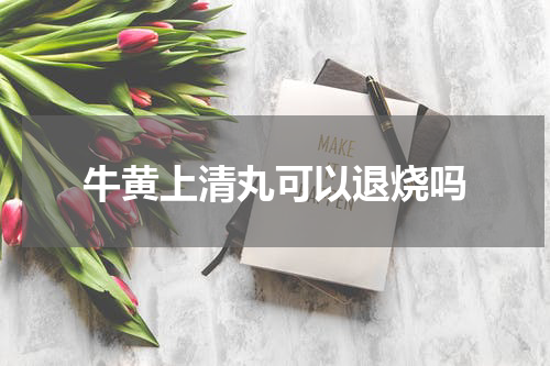 牛黄上清丸可以退烧吗