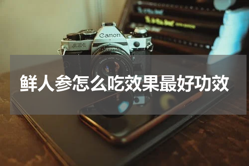 鲜人参怎么吃效果最好功效