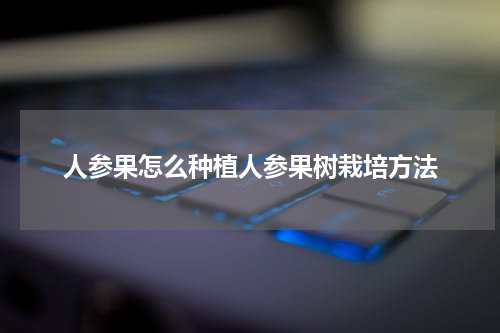 人参果怎么种植人参果树栽培方法