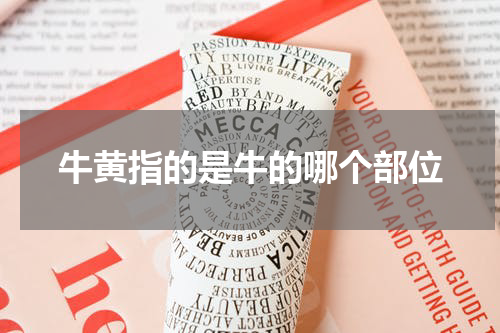 牛黄指的是牛的哪个部位
