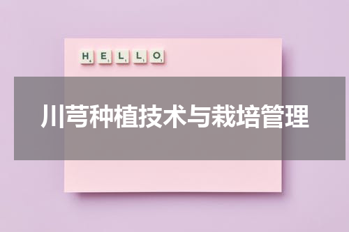 川芎种植技术与栽培管理