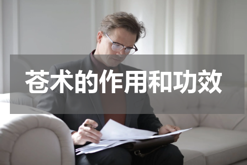 苍术的作用和功效