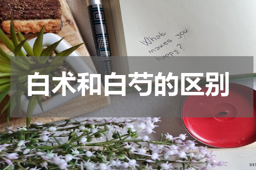 白术和白芍的区别