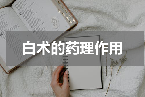 白术的药理作用