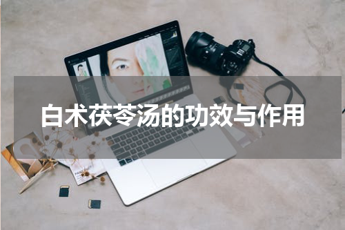 白术茯苓汤的功效与作用