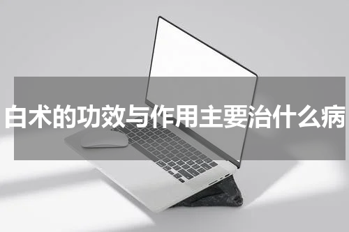 白术的功效与作用主要治什么病