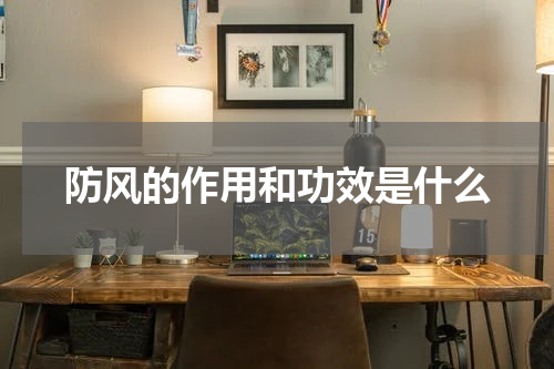防风的作用和功效是什么