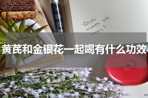 黄芪和金银花一起喝有什么功效