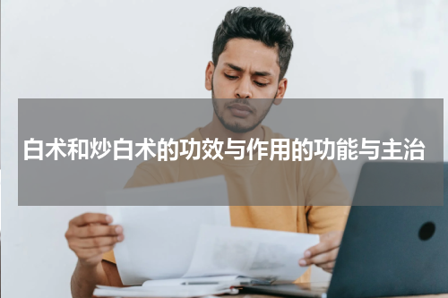 白术和炒白术的功效与作用的功能与主治