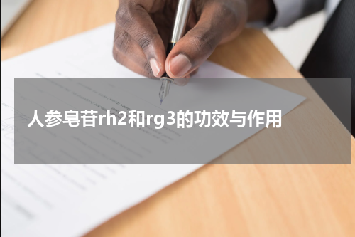 人参皂苷rh2和rg3的功效与作用