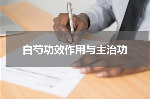 白芍功效作用与主治功