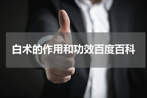 白术的作用和功效百度百科