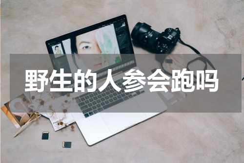 野生的人参会跑吗