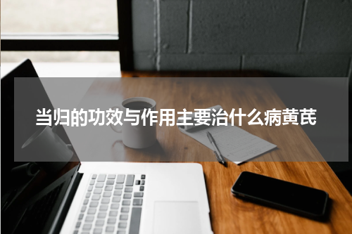 当归的功效与作用主要治什么病黄芪