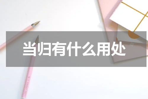当归有什么用处