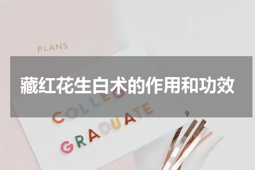 藏红花生白术的作用和功效