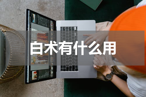 白术有什么用