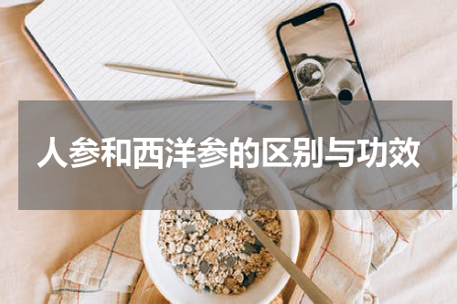 人参和西洋参的区别与功效