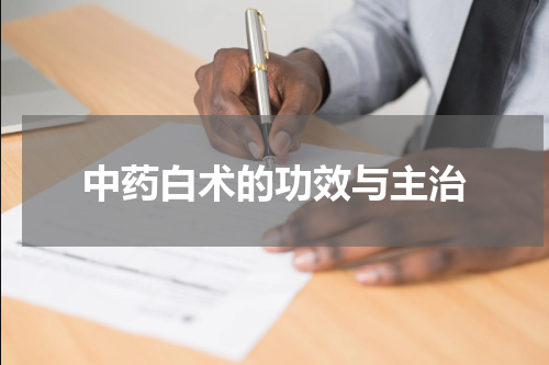 中药白术的功效与主治