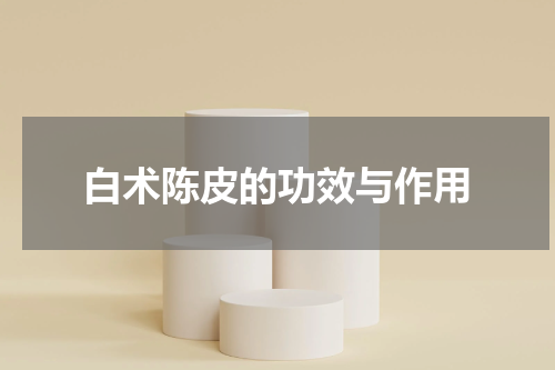 白术陈皮的功效与作用