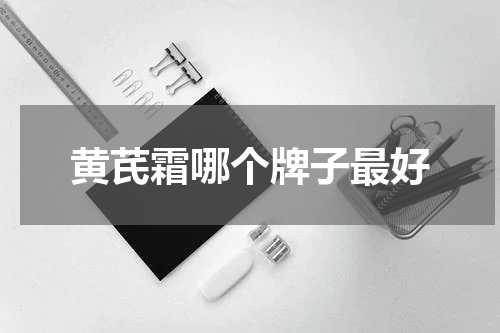 黄芪霜哪个牌子最好