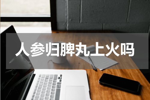 人参归脾丸上火吗