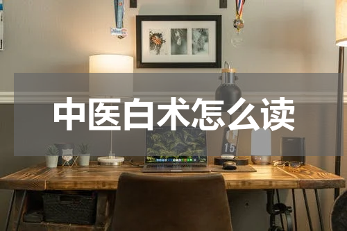中医白术怎么读