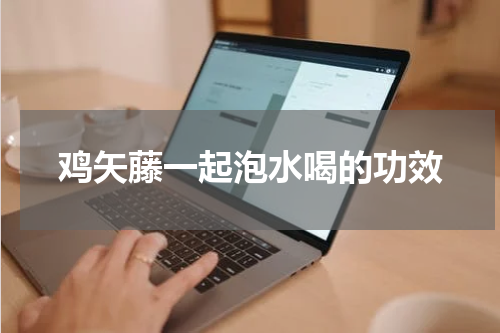 鸡矢藤一起泡水喝的功效