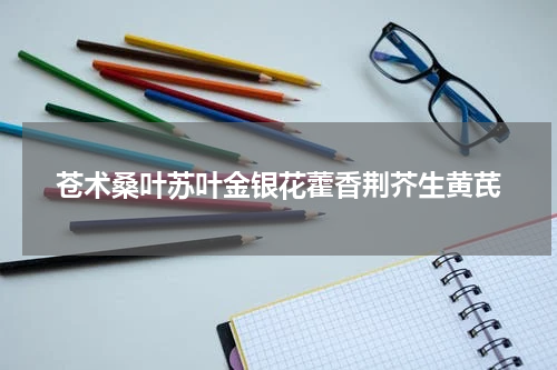 苍术桑叶苏叶金银花藿香荆芥生黄芪