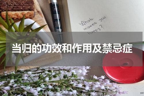 当归的功效和作用及禁忌症